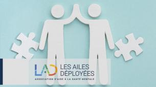 La pair-aidance au sein de l’association Les ailes déployées bilan 2023 et perspectives 2024