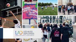 Rapport d'activité 2024